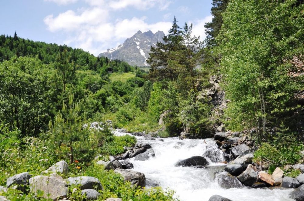 ARVININ DERELERINDEKI KIRMIZI BENEKLILER